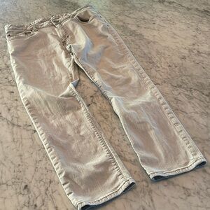 Patagonia Organic Cotton Mens Jeans Size 36 Light Gray